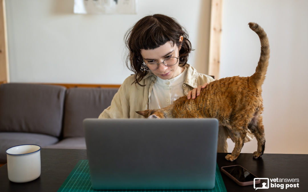 Is social media enough to grow your veterinary clinic?